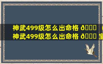 神武499级怎么出命格 🐒 （神武499级怎么出命格 🐝 宝宝）